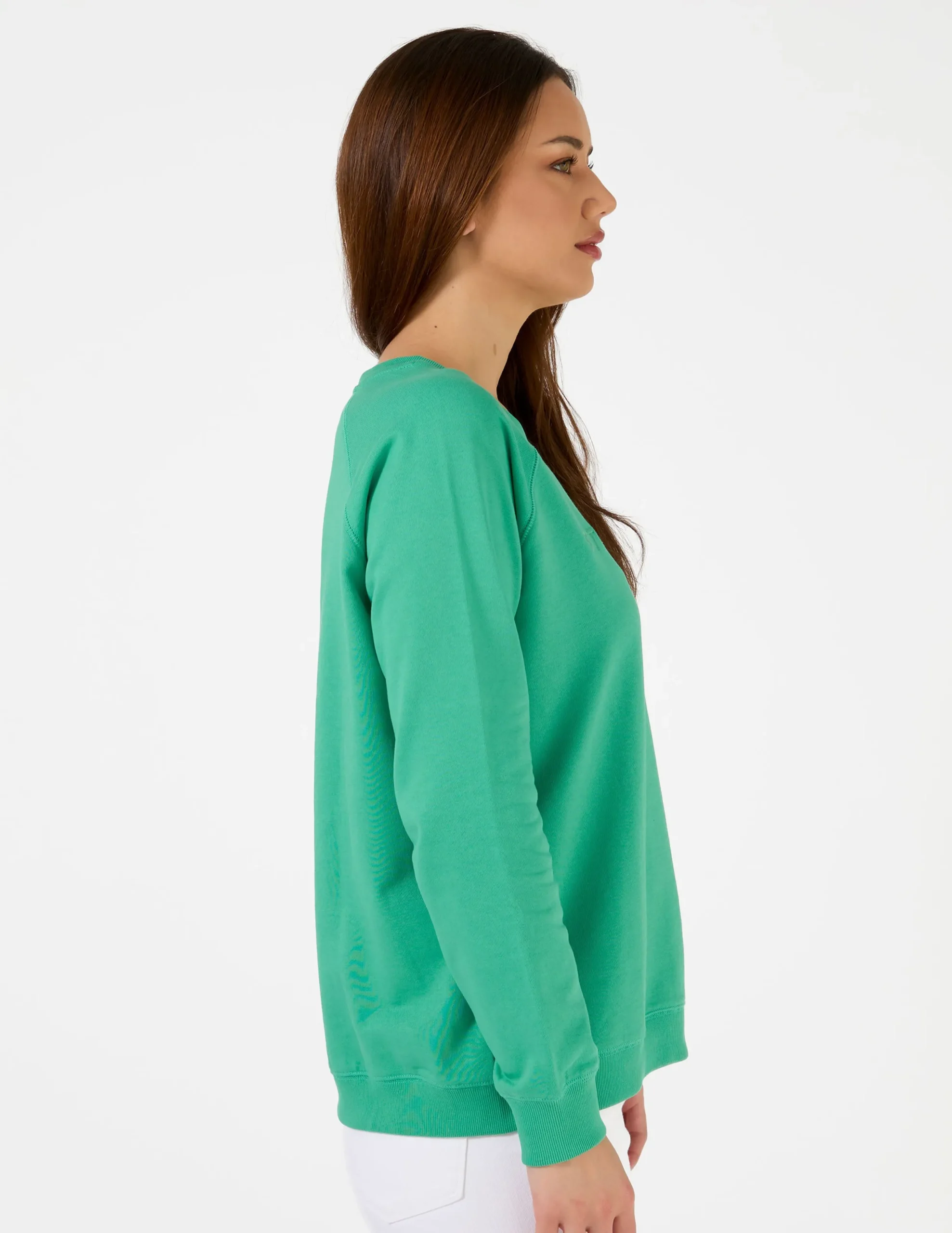 Sweater Logo - Mint