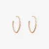 Twisted Earrings